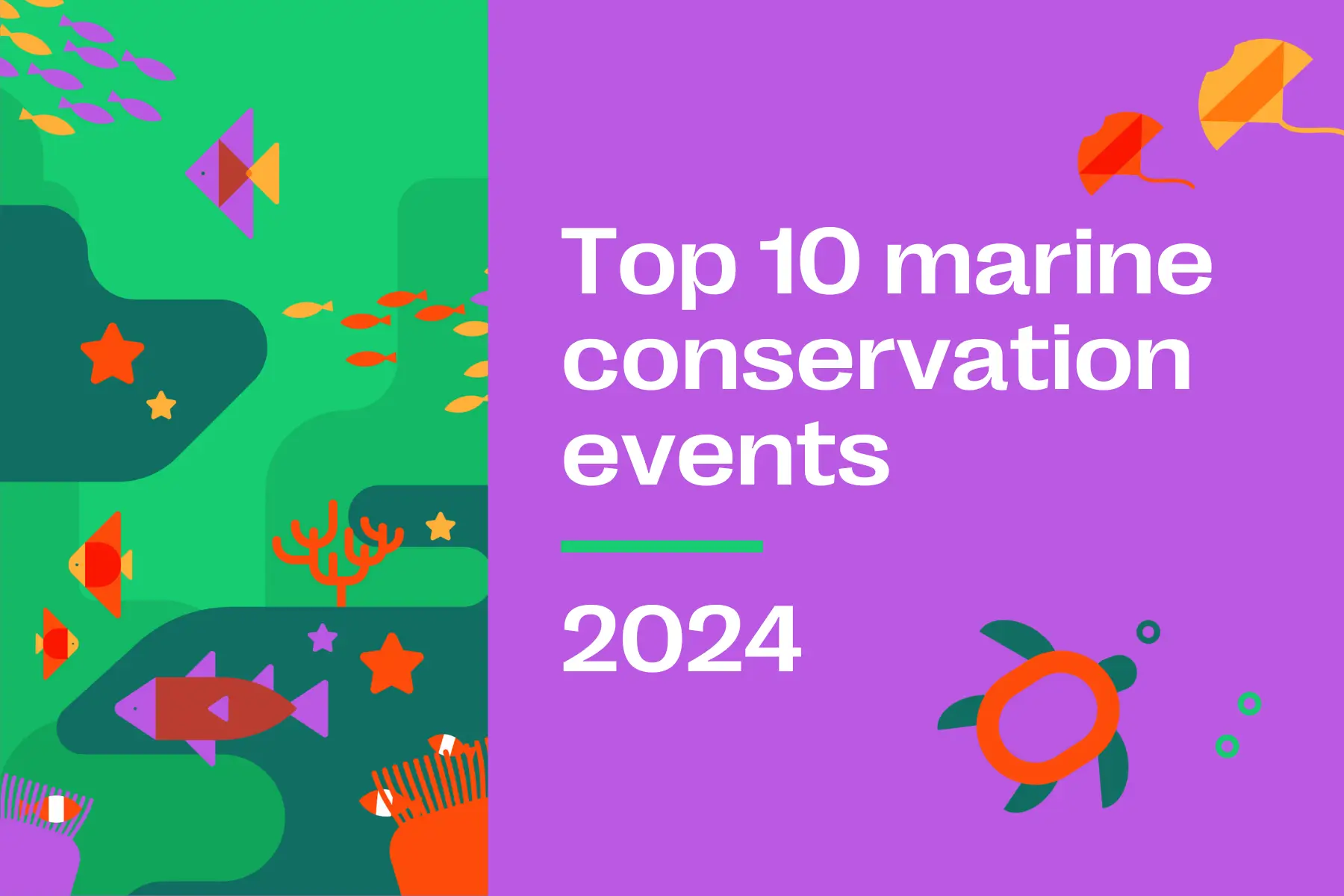 top 10 marine conservation events to attend in 2024